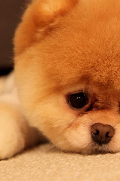 ע¾ҵ̬ְҵѡ չǰ